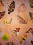 Transzparens papír - Pillangó Minták