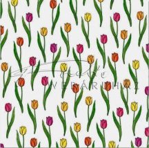 Tulipán, Transzparens papír - 10 lap/csomag