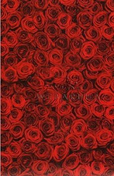 Transzparens papír - Vörös Rózsa