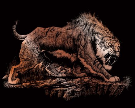 Képkarcoló készlet karctűvel - 20x25 cm - Réz - Kardfogú tigris