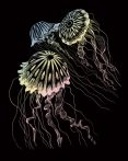 Kreatív hobby - Medúzák