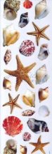  Dekupázs transzfer - Tengeri kagylók, csigák és csillagok