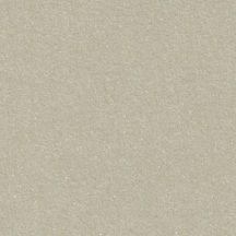   Metál fényű papír - Homokszínű metál csillogású papír 120gr, Kétoldalas - Eukaliptusz