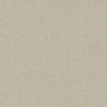   Gyöngyház fényű papír - Homokszínű metál csillogású papír 120gr, Kétoldalas - Eukaliptusz