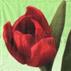 Tulipán zöld háttérrel, Szalvéta