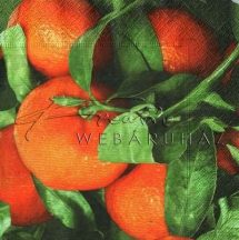 Narancsok a fán - Szalvéta