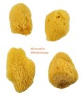 Kreatív hobby - Festőszivacsok - Royal Silk Sponge 4 - selyem szivacskészlet, közepes méret, 4 db-o