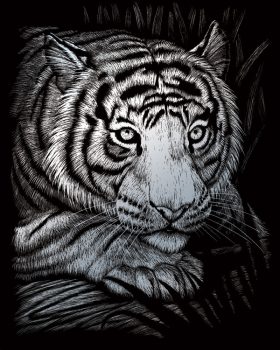 Kreatív hobby - Fehér tigris