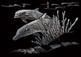   Képkarcoló készlet karctűvel - 13x18 cm - Ezüst - Delfinek