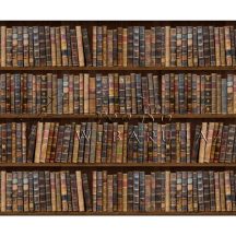   Kétoldalas mintás karton - Könyvtár mintás, kétoldalas színes karton, 1 lap