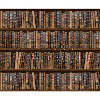 Kétoldalas mintás karton - Könyvtár mintás, kétoldalas színes karton, 1 lap