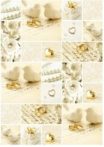   Kartonpapír csomag - Esküvői krém és arany mintás fehér karton arany fóliázással, A4 - 5 lap