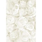 Kartonpapír - Esküvői Starlight karton, Nagy fehér és ezüst rózsa mintás design karton 1 lap