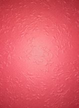   Domborkarton - Firenze mintás piros színű domborított karton, 220gr, 29x20cm, 1 lap