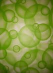 Transzparens papír - Buborékos, zöld színű