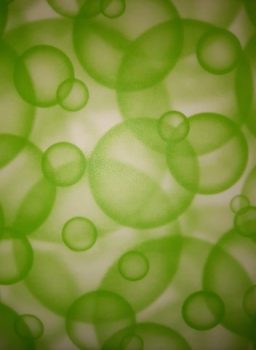 Transzparens papír - Buborékos, zöld színű